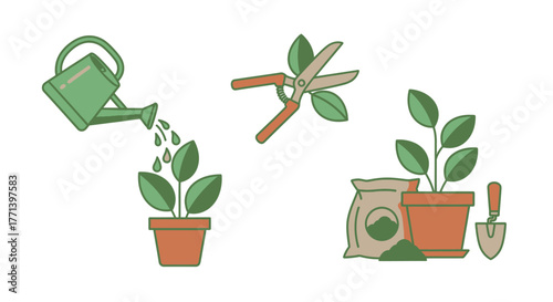 Gardening Tools and Plant Care with Watering Can Pruning Shears and Soil