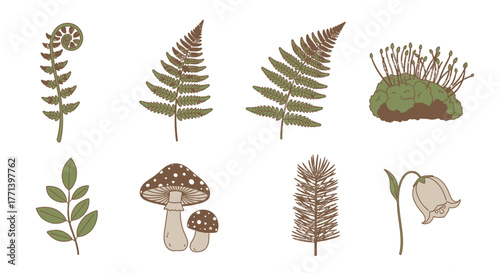 Wild Plants and Mushrooms Ferns Cartoon Illustration Set