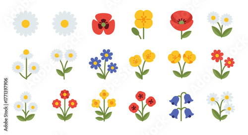 Cute flat floral illustrations daisies poppies bells and yellow blossom flowers