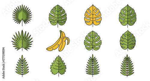 Tropical Leaves and Banana Cartoon on White Background Isolated Set