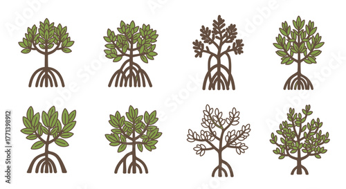 Mangrove trees icon set. Aquatic coastal zone trees. Symbol of ecology