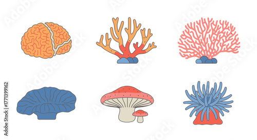 Assorted Fungi Brain Corals and Anemones Vector Illustration Collection