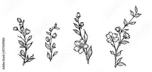 Blooming tree branches, silhouette set. Vector illustration. Spring flowers on a branch, set isolated on a white background. Floral summer theme, suitable for cards, invitations, and textile printing.