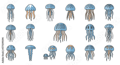 Cartoon jellyfish collection in light blue and orange colors on white