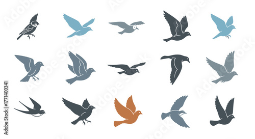 Bird silhouette flying poses on white background illustration set