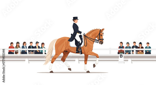 Elegance on Horseback A Dressage Performance Illustration