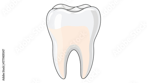 A cartoon depiction of a human molar tooth