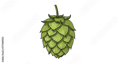 Vibrant green hand-drawn illustration of a single hop cone, a classic ingredient crucial for flavoring beer, isolated on white.