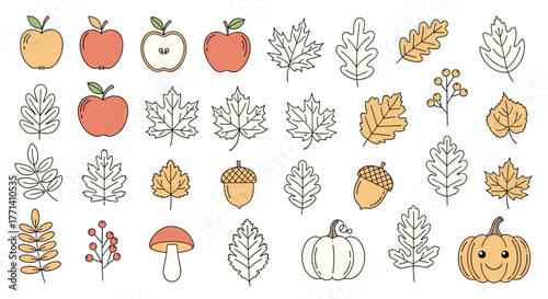 A collection of charming autumn-themed doodles and illustrations, including colorful apples, diverse fall leaves, plump pumpkins, acorns, and berries.