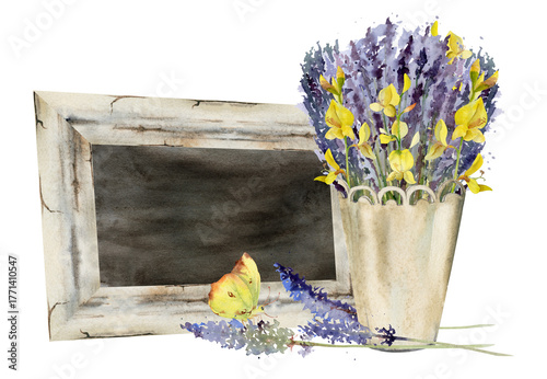Framed blackboard sign with wild lavandula and Spanish broom bouquet in metal cachepot, butterfly insect. Isolated illustration hand drawn in watercolor. Lavender shop, farm display, greeting card.