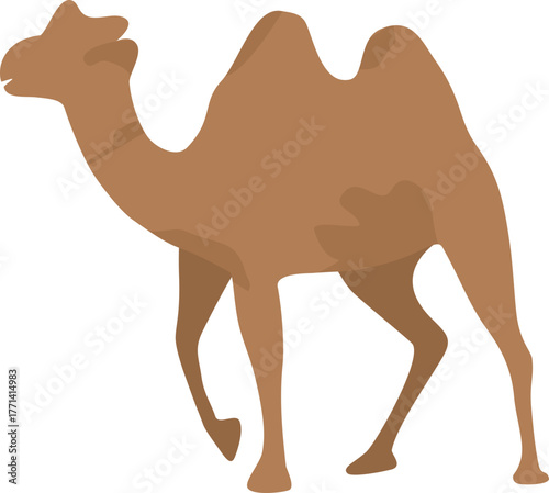 Faceless camel vector illustration