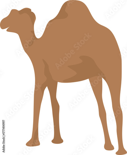 Faceless camel vector illustration