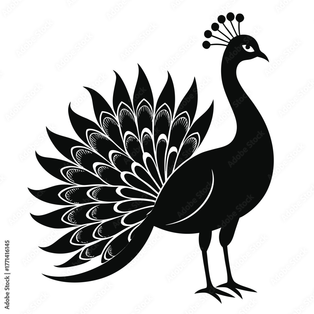 Fototapeta premium peacock silhouette vector on white background