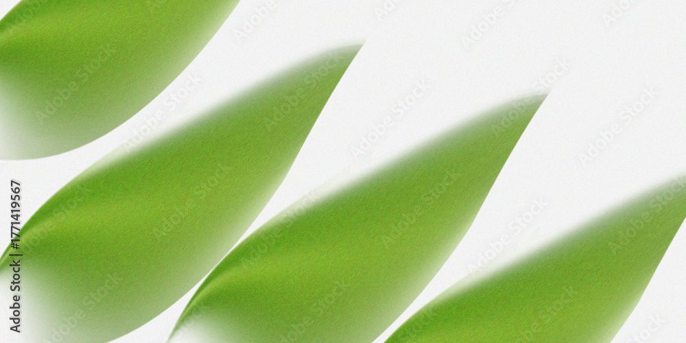 Obraz premium Illustration of very soft, smooth green color gradient leaves on a glossy white background.