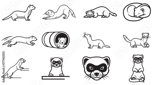 Ferret Poses Line Art Collection — Minimal Black Mustelid Outlines for Pets, Stickers, Classroom Sheets, and Flexible Vector Graphics