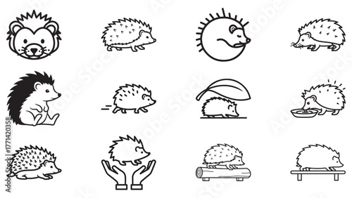Hedgehog Poses Line Art Pack — Prickly Silhouettes in Black Outline for Woodland Education, Crafts, Logos, and Vector Design