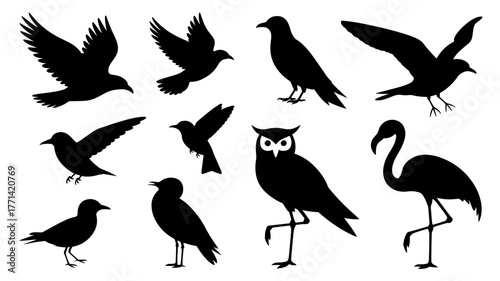 A diverse collection of bird silhouettes, capturing the grace and beauty of avian creatures in flight and at rest, perfect for adding a touch of nature to any design
