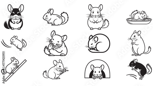 A collection of twelve black and white line art illustrations depicting cute chinchillas in various poses and activities.