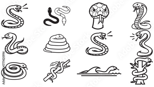 A collection of diverse black and white illustrations depicting various snake poses and styles.