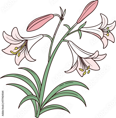 A digital illustration depicting multiple white bell shaped flowers on green stems with long green leaves