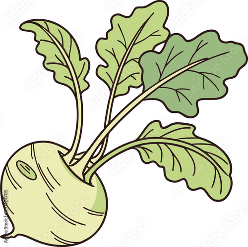 Happy cartoon kohlrabi vegetable with bright green leaves smiling cheerfully isolated on a white background
