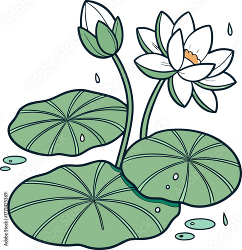 Illustrative graphic showcasing a blooming white water lily flower with vibrant yellow stamens Two green lily pads and