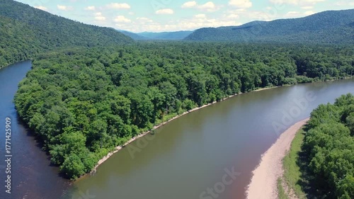Wallpaper Mural View from above. The camera flies over a picturesque river. The dirty waters of the river where gold is mined. Torontodigital.ca