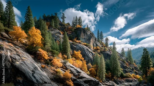 Dramatic Autumn Forest Slope: Sunlight Illuminating Conifer Trees with Vivid Yellow and Orange Foliage Against Dark Wilderness