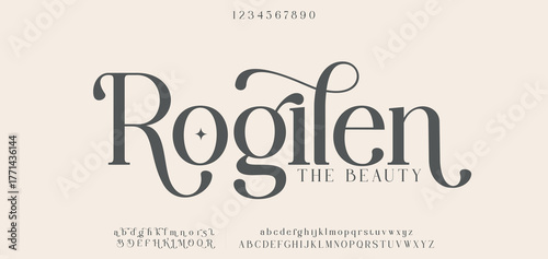 Elegant alphabet letters font and number. Classic Lettering Minimal Fashion Designs. Typography modern serif fonts regular decorative vintage concept. vector illustration