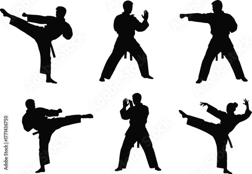 Martial arts silhouette, karate kick, defensive pose, punching action, traditional uniform, black belt, discipline, combat, training, precision