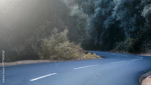 A winding road with trees on both sides. The road is lined with trees and bushes, and the road is narrow