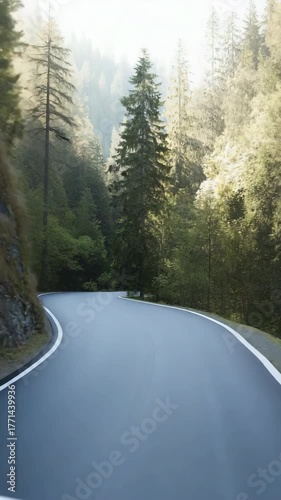 A road with trees on both sides. The road is curvy and the trees are green. The road is empty and there is no one on it
