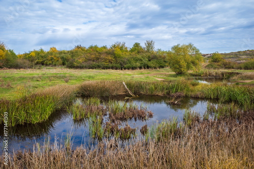 Картината върху платно A wetland landscape in early autumn features a small pond surrounded by tall, da