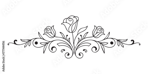 Elegant rose floral divider isolated on white background