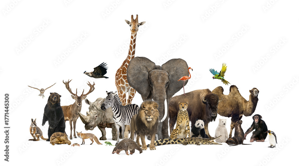 Fototapeta premium Diverse animal group standing, transparent background, global wildlife