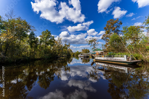 South Louisiana wildlife swamp tour, USA