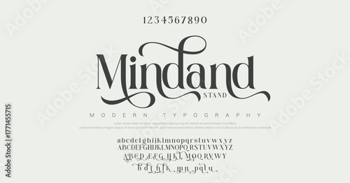 Elegant Font Uppercase Lowercase Number And Ampersand. Classic Lettering Minimal Fashion Designs. Typography modern serif fonts regular decorative vintage concept. vector illustration 
