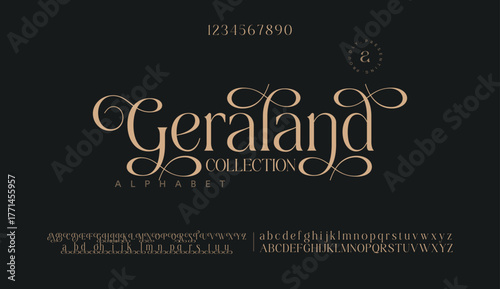 Elegant Font Uppercase Lowercase Number And Ampersand. Classic Lettering Minimal Fashion Designs. Typography modern serif fonts regular decorative vintage concept. vector illustration 