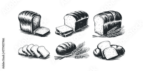 Various Loaves of Bread and Sliced Bread Pieces