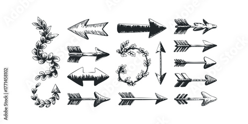 Hand Drawn Arrows and Decorative Leaf Branch Collection