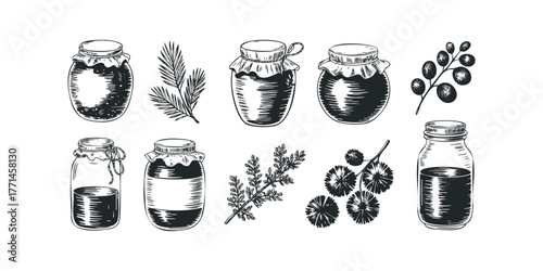 Hand drawn glass jars with contents and botanicals