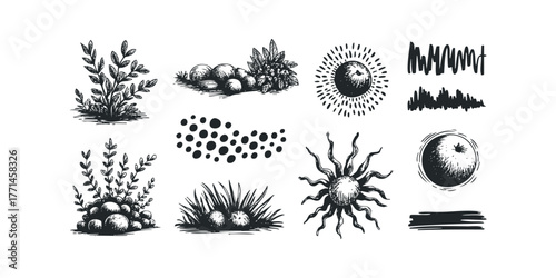 Collection of Hand Drawn Nature Elements and Textures