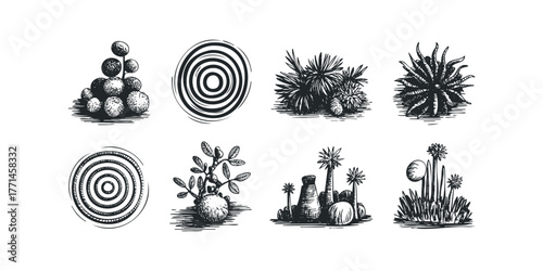 Various Plants and Circular Motifs in Sketch Style