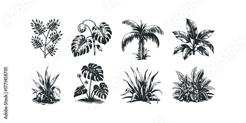 Collection of tropical foliage and palm tree silhouette