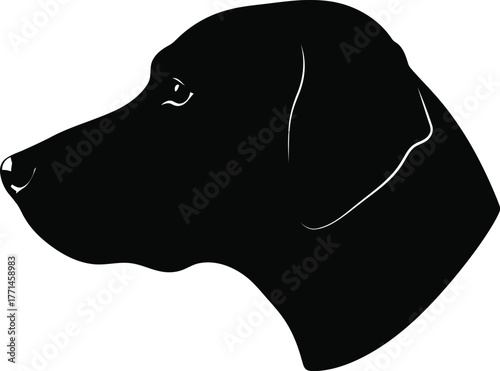 Black labrador silhouette profile