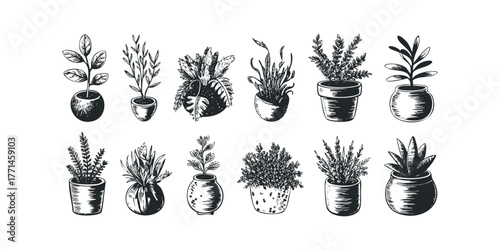 Collection of Hand Drawn Potted Plants Line Art