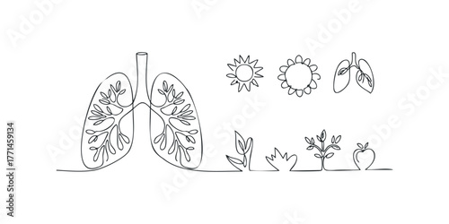 Abstract continuous line drawing of lungs and nature elements