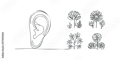 Single line drawing of an ear alongside botanical elements