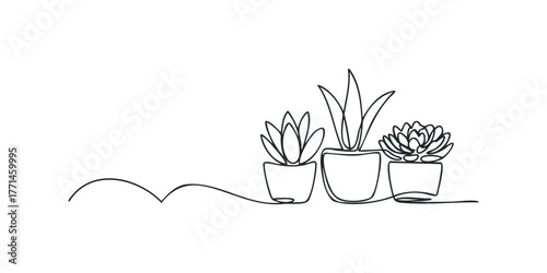 Line art of potted succulent plants