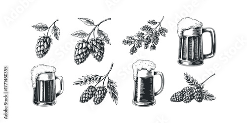 Beer Mug with Hops Sprigs and Wheat Stalks Collection